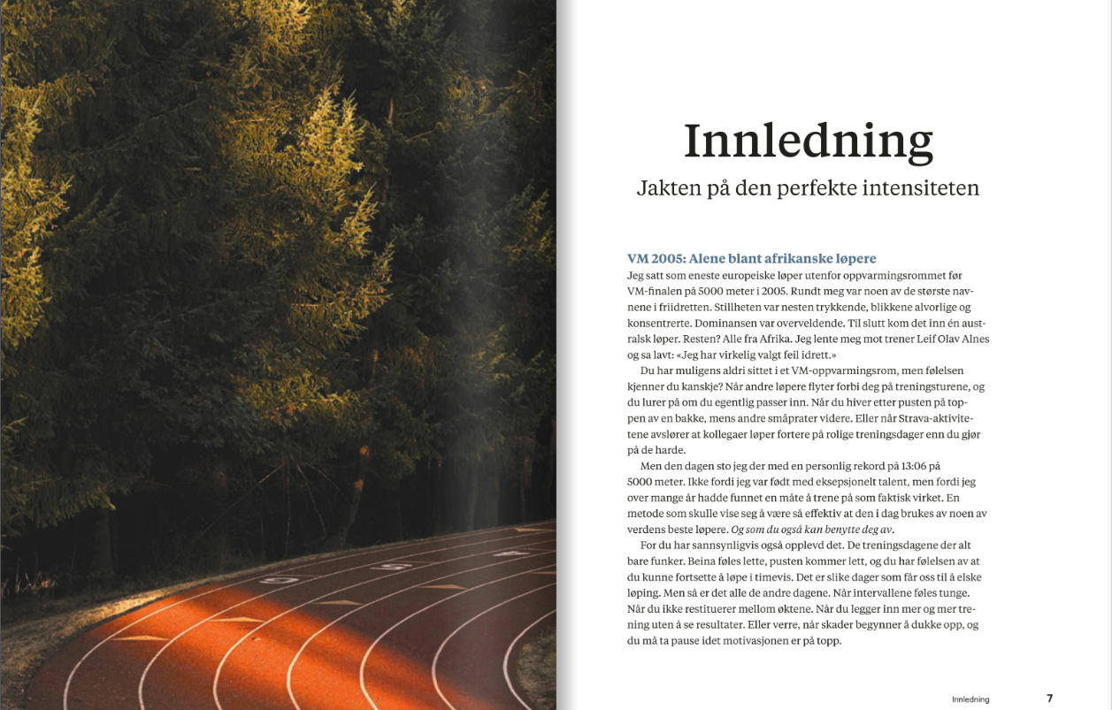 Smakebit fra boken – bilde 2